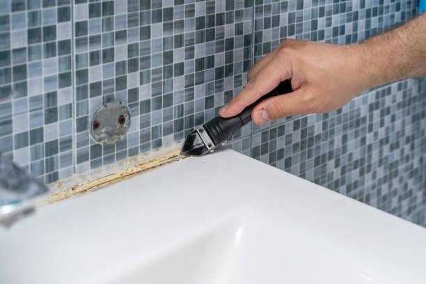 Trusted Sanborn, IA Mold Remediation Experts
